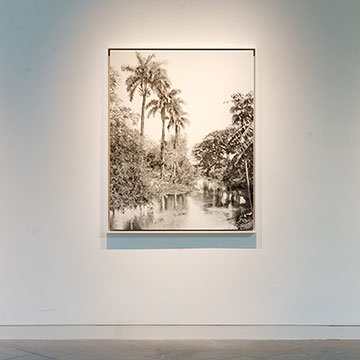 Three artworks by Carlos Rolon on display at the Nerman Museum