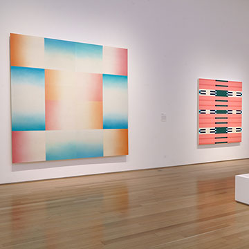 Big Blue Pink on display at the Nerman Museum