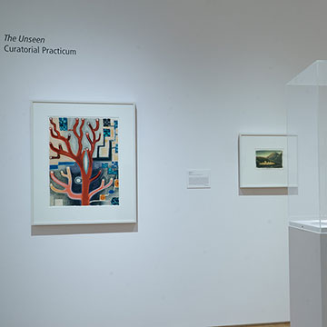 The Unseen exhibit at the Nerman Museum